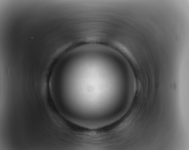 X0000088910588200706151907