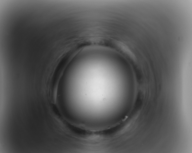 X0000088910593200706151907