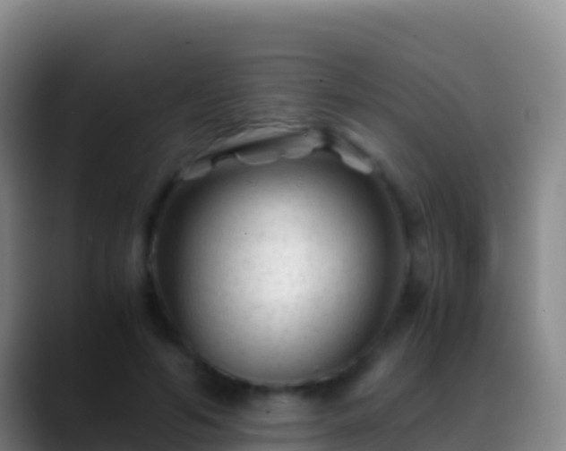 X0000088910594200706151907