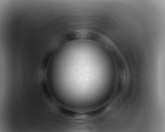 X0000088910602200706151907