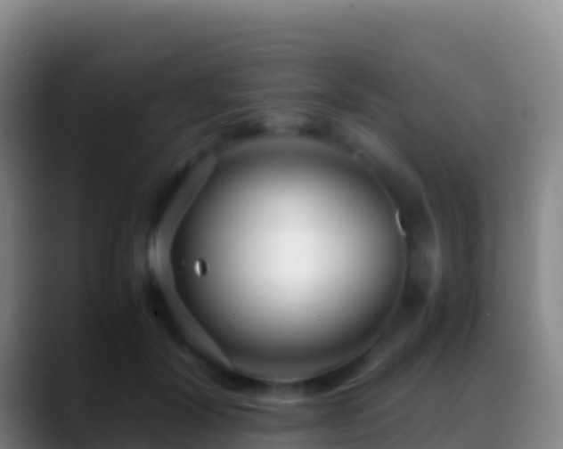 X0000088910604200706151907