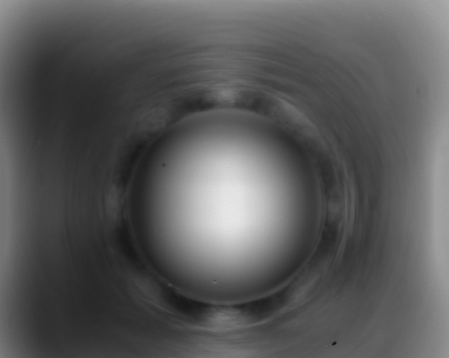 X0000088910605200706151907