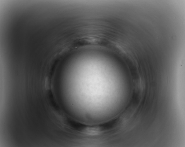 X0000088910606200706151907
