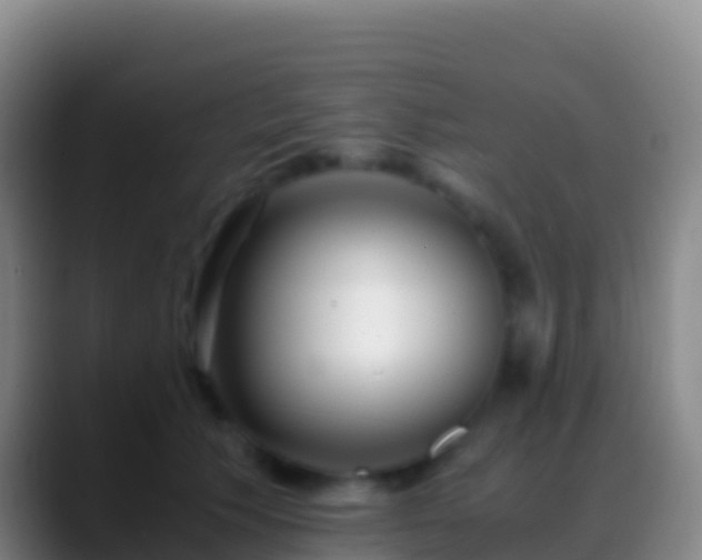 X0000088910609200706151907