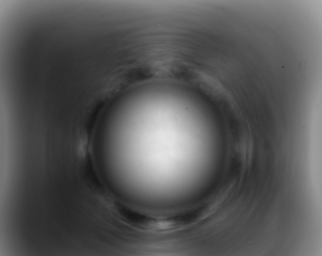 X0000088910610200706151907