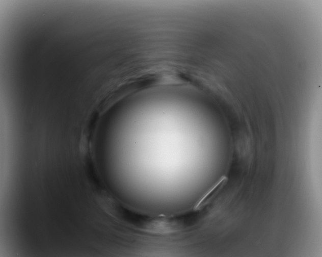 X0000088910611200706151907
