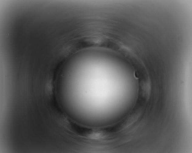 X0000088910612200706151907