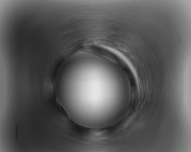 X0000088910613200706151907