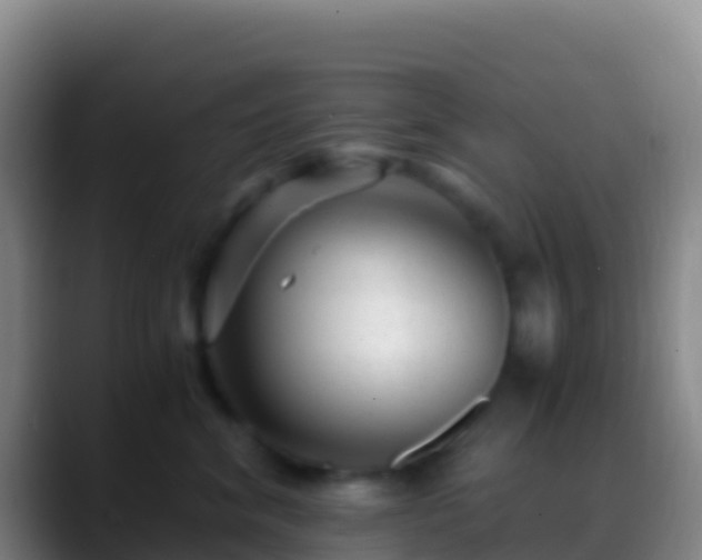 X0000088910620200706151907