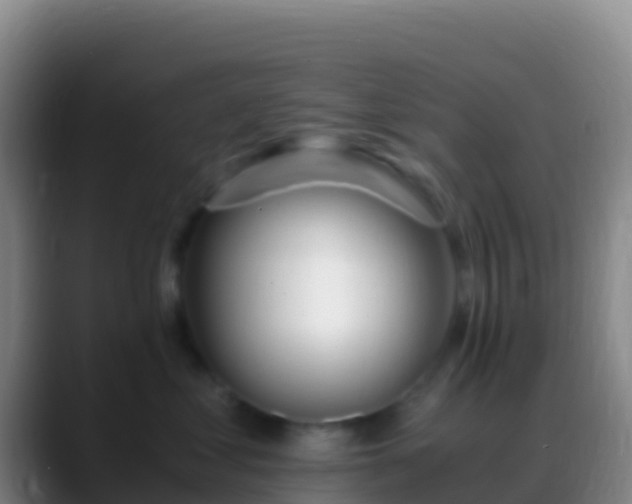 X0000088910621200706151907