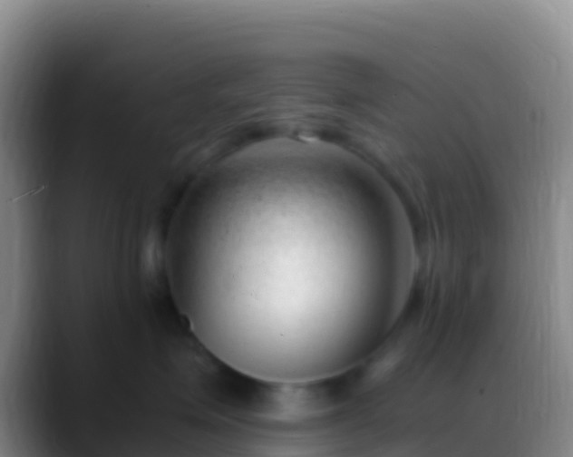 X0000088910623200706151907