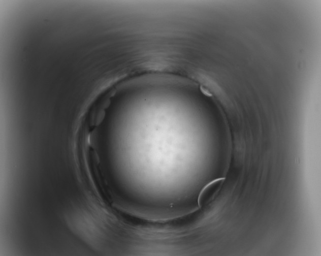 X0000088910626200706151907