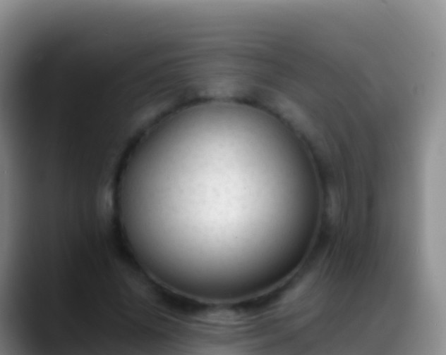 X0000088910636200706151907