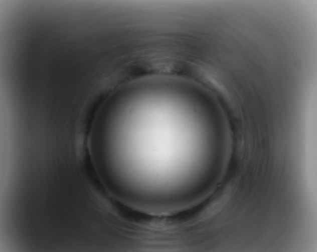 X0000088910641200706151907