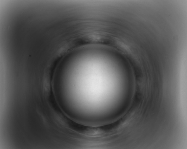 X0000088910642200706151907