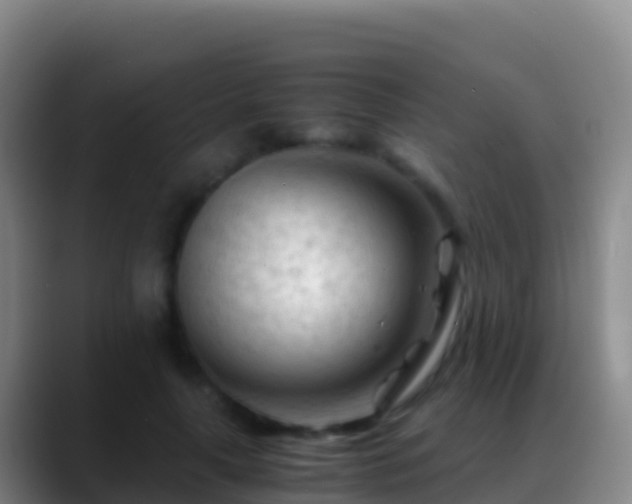 X0000088910643200706151907