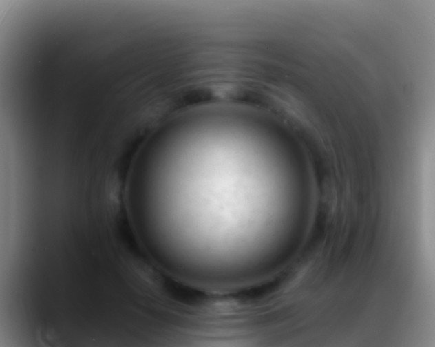 X0000088910650200706151907