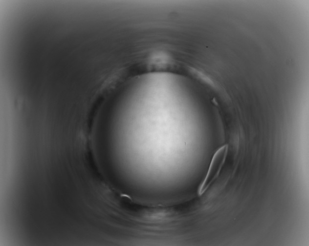 X0000088910661200706151907