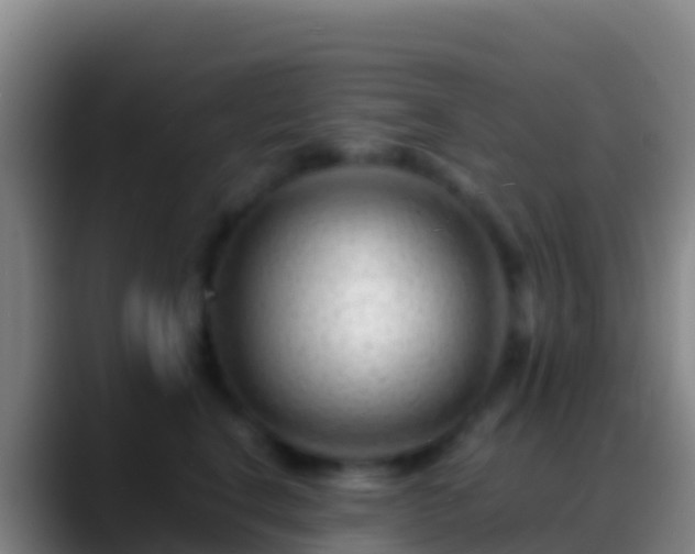 X0000088910664200706151907