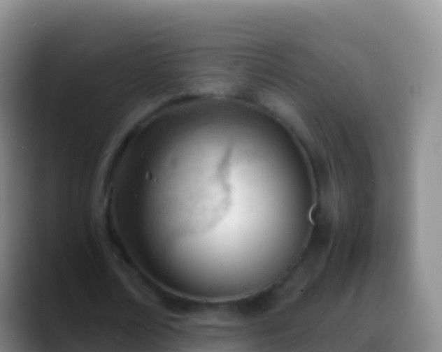 X0000088910674200706151906