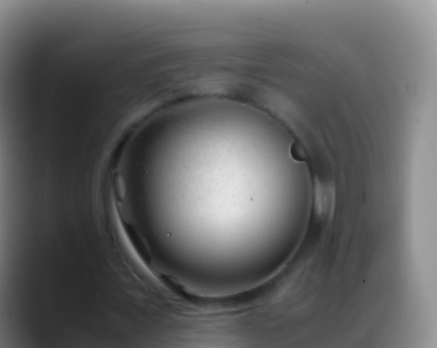 X0000088910675200706151906