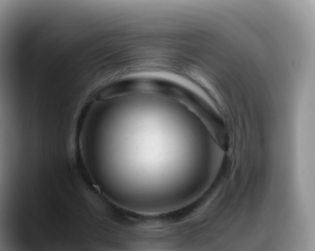 X0000088910677200706151906