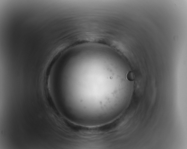X0000088910679200706151906