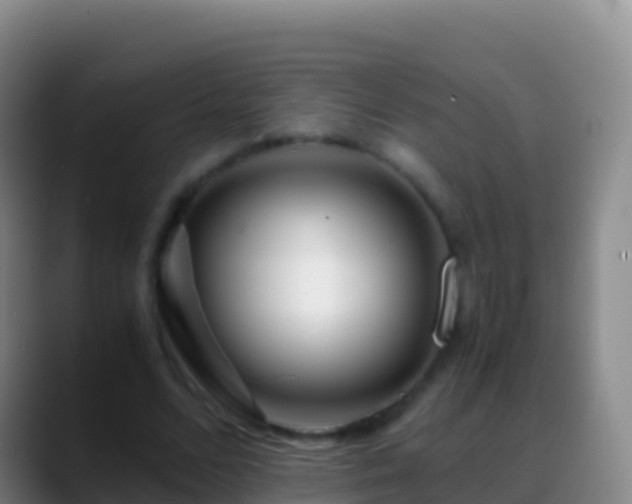 X0000088910680200706151906