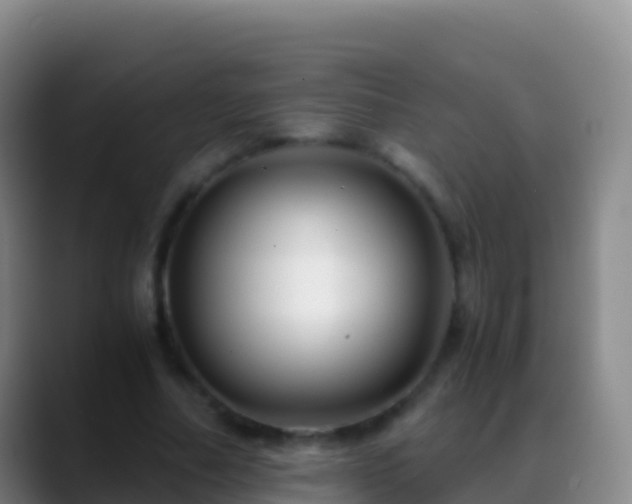 X0000088910682200706151906