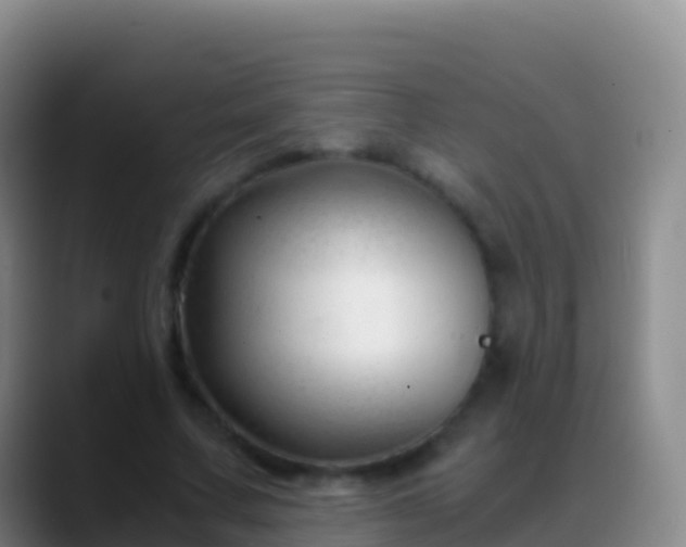 X0000088910683200706151906