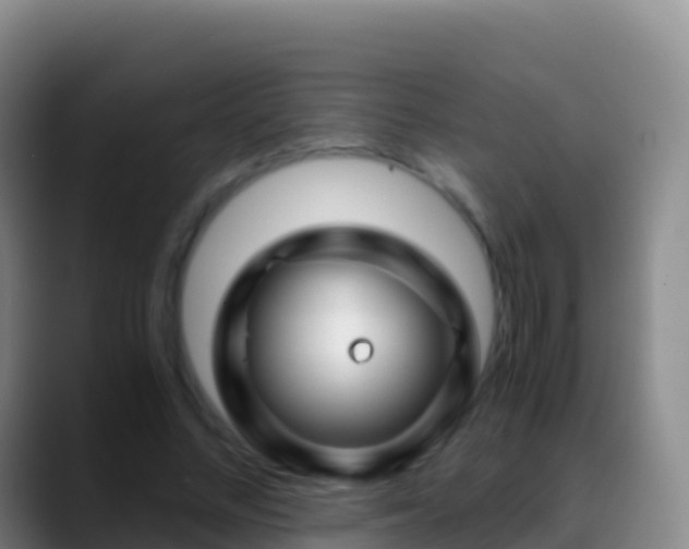 X0000088910684200706151906