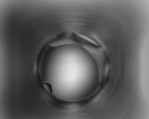 X0000088910685200706151906