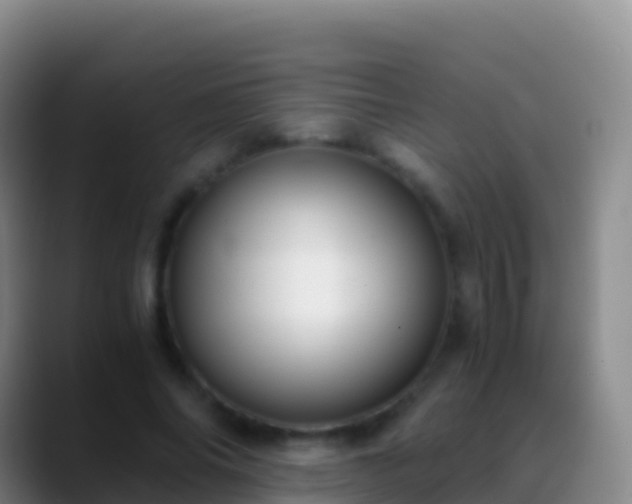 X0000088910686200706151906