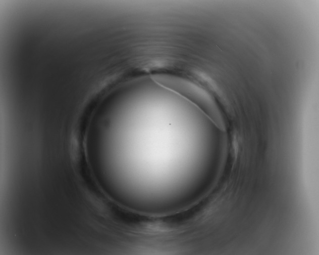 X0000088910688200706151906