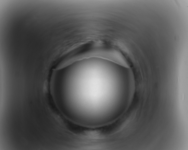 X0000088910689200706151906
