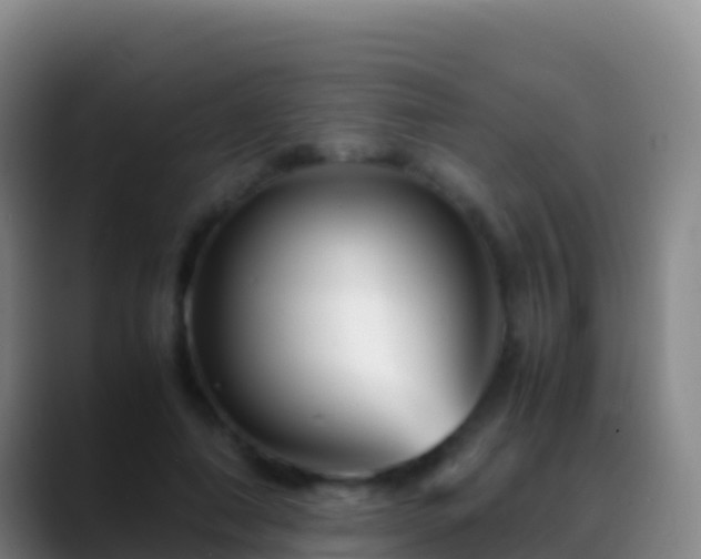 X0000088910690200706151906