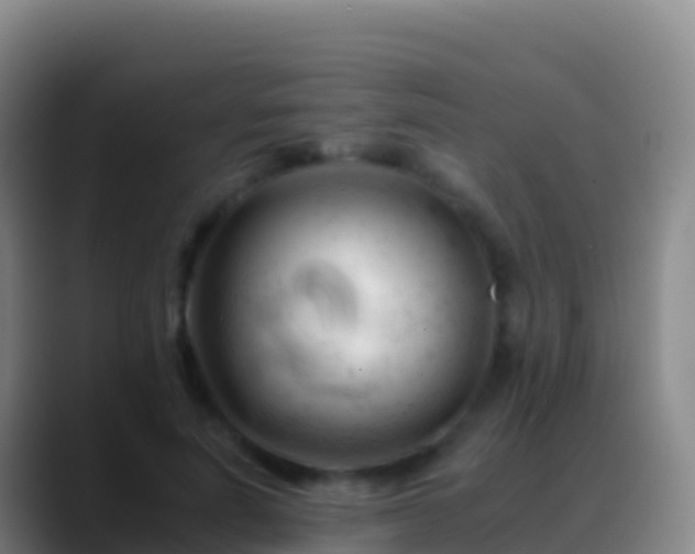 X0000088910691200706151906
