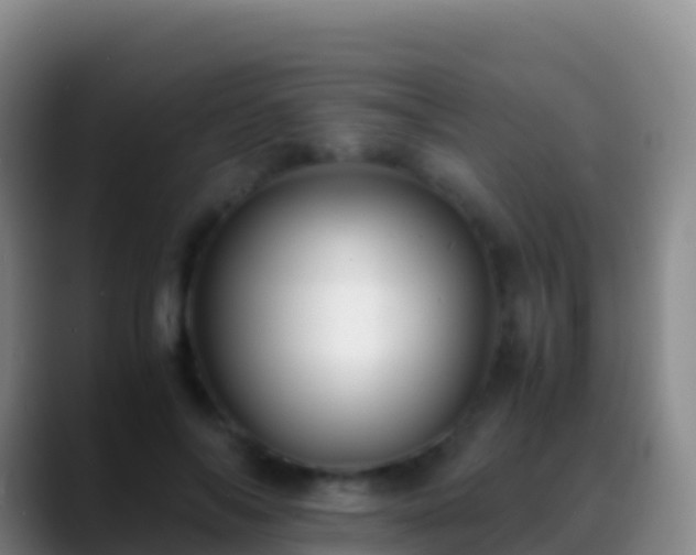 X0000088910694200706151906
