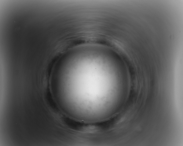 X0000088910695200706151906