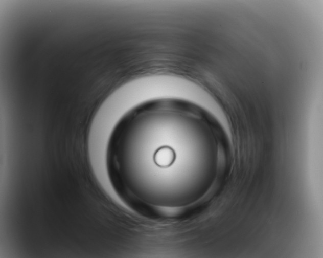 X0000088910696200706151906