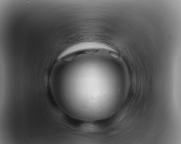 X0000088910699200706151906