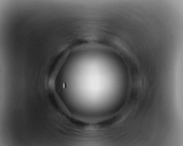 X0000088910700200706151906