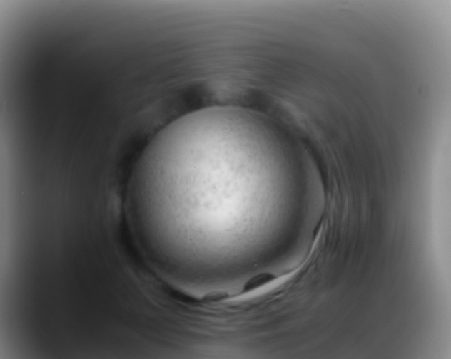 X0000088910703200706151906