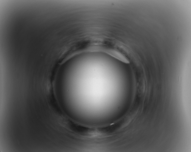 X0000088910704200706151906