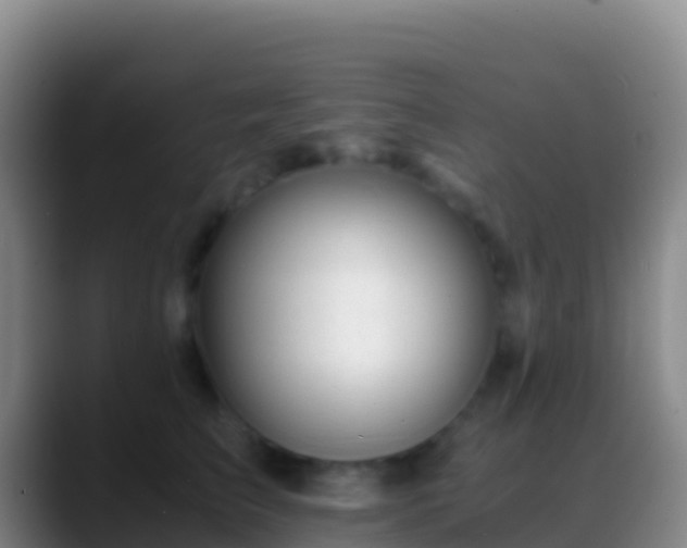 X0000088910709200706151906