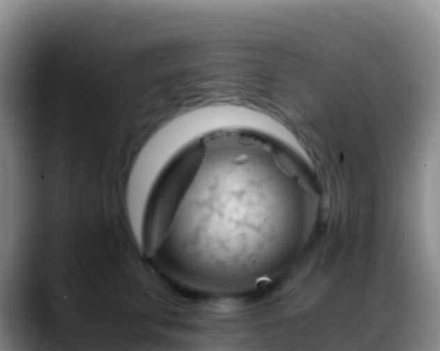 X0000088910711200706151906
