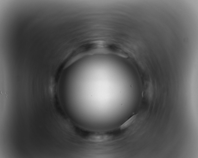 X0000088910712200706151906