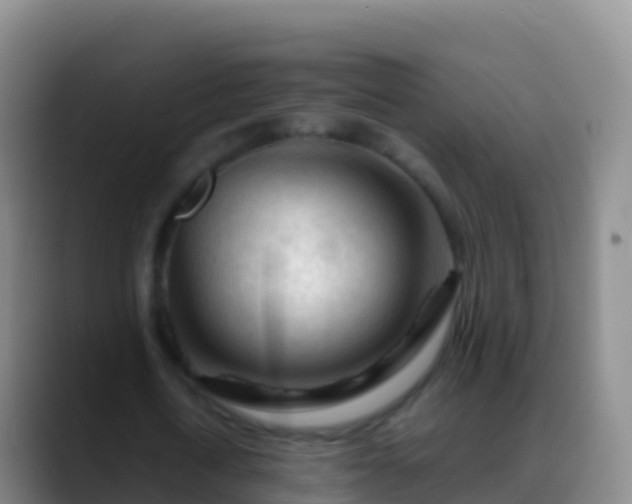 X0000088910722200706151905