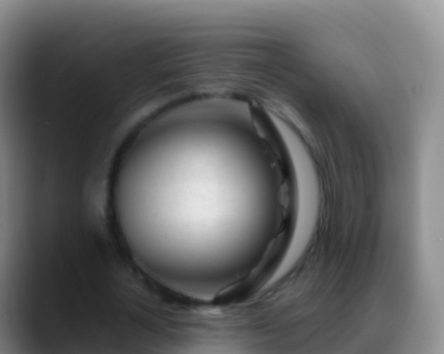 X0000088910724200706151905