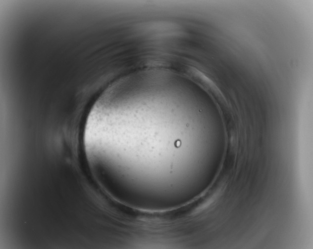 X0000088910725200706151905